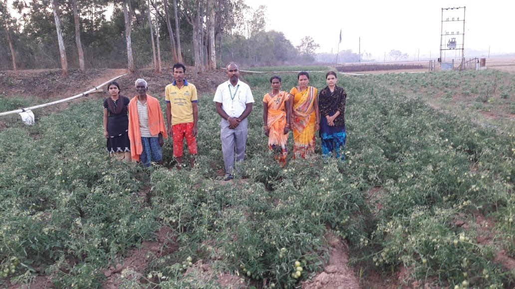 Training programmes on horticulture based interventions organized for socio-economic development of tribal-dominated Nabarangpur district