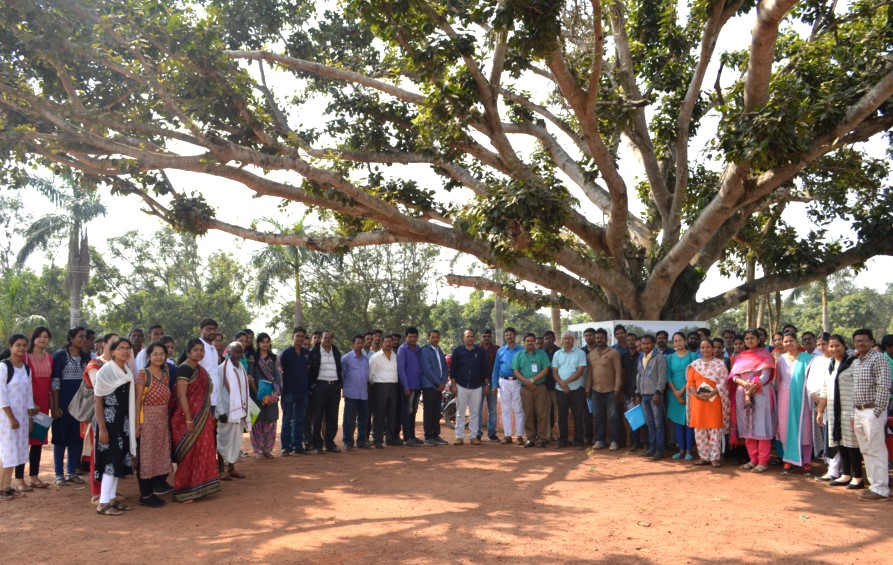 Organization of Workshop on Fruit Crop Diversification at CHES (ICAR-IIHR), Bhubaneswar on 29.11.2019