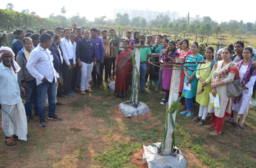Organization of Workshop on Fruit Crop Diversification at CHES (ICAR-IIHR), Bhubaneswar on 29.11.2019