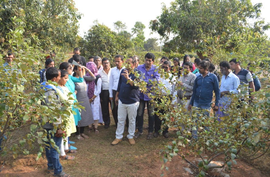 Organization of Workshop on Fruit Crop Diversification at CHES (ICAR-IIHR), Bhubaneswar on 29.11.2019