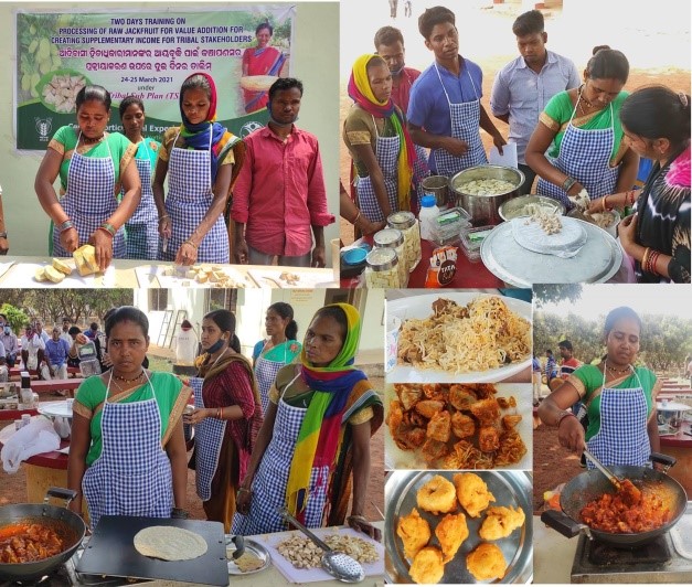Two days training on ‘Processing of raw jackfruit for value addition for creating supplimentary income for tribal stakeholders’ organised by CHES (ICAR-IIHR), Bhubaneswar under Tribal Sub Plan
