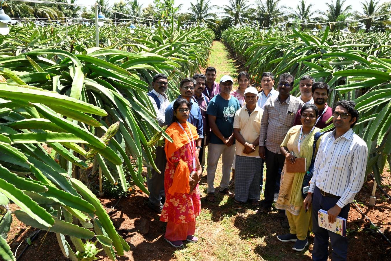 The 10-day training programme on “Scientific Approach Towards Production and Processing of Kamalam (Dragon Fruit)”
