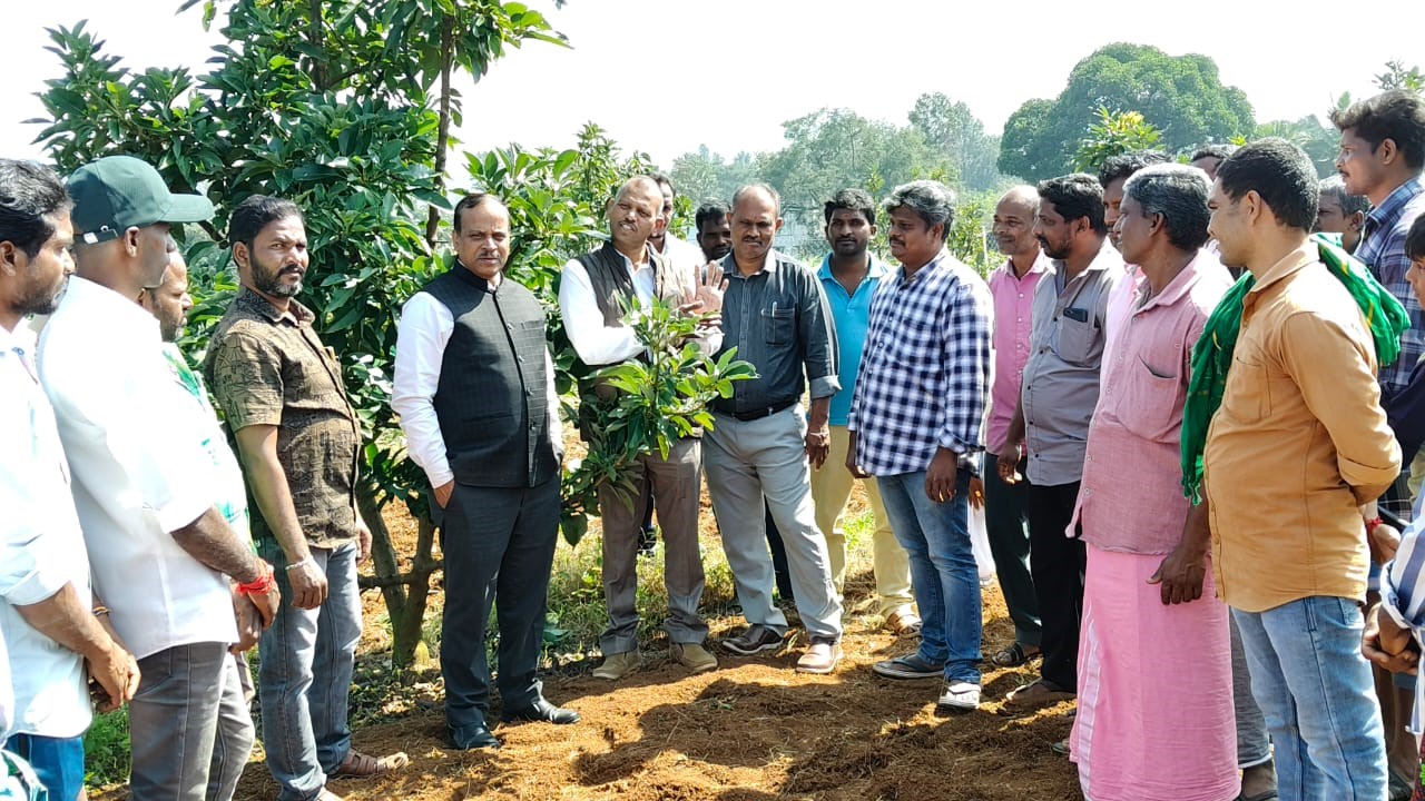 Demonstration on Avacado on 14th Dec 2025 at Karmadurai Hills of Tamilnadu 