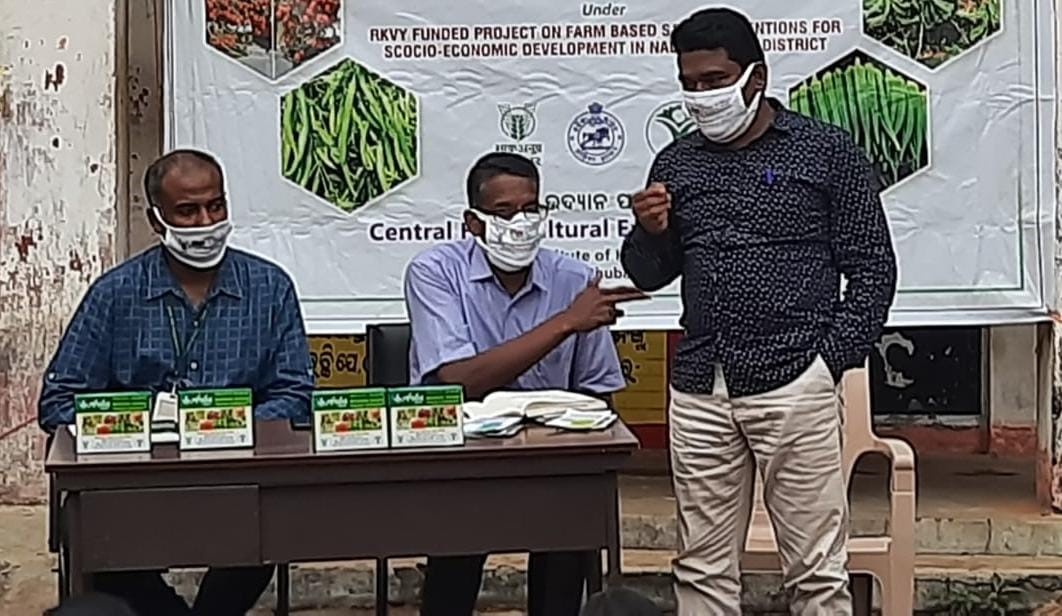 Backyard kitchen gardening intervention for nutritional security and supplementary income launched in Nabarangpur of Odisha under RKVY S&T project