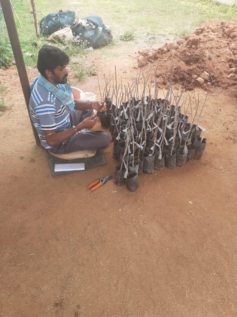 Activities during Lock-down period – ICAR KVK, Hirehalli, Tumakuru