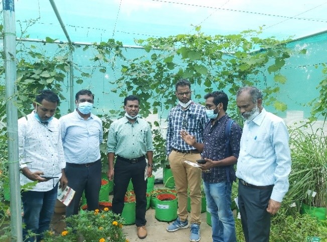 IACR-IIHR organized on-campus training on Horticultural Technologies for officials of Lakshadweep Island