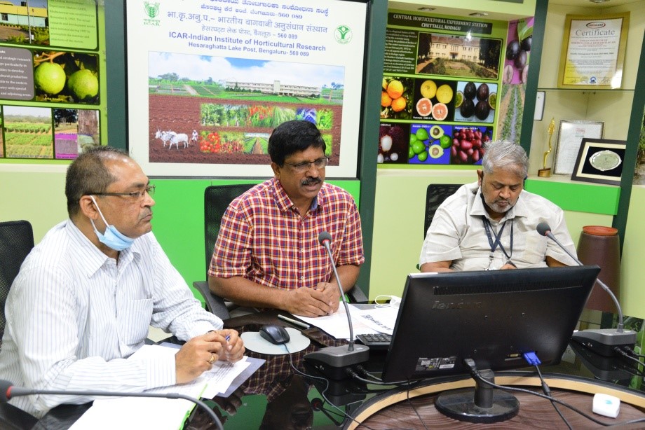Farmers of Chhattisgarh were trained on mango canopy management at CHES (ICAR-IIHR), Bhubaneswar