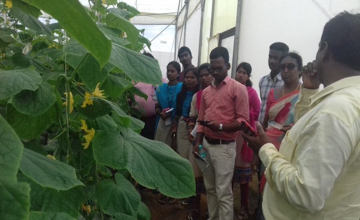 भा.कृ.अनु.प.-भारतीय बागवानी अनुसंधान संस्थान, बेंगलूरु में 28.08.2024 को "राजभाषा नीति और कंठस्थ 2.0" पर एक कार्यशाला