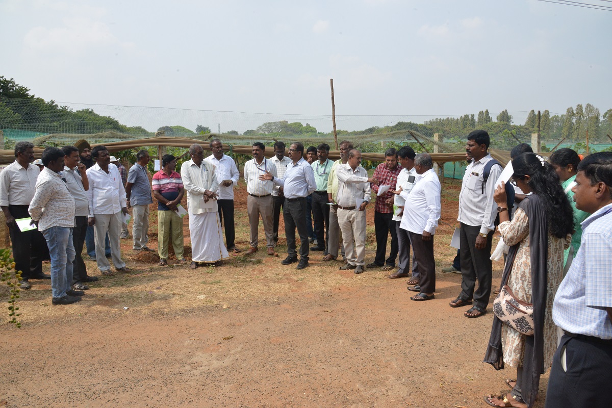 ICAR-IIHR organized Grape Field Day and Farmers Interaction Meet on 26th Feb 2026
