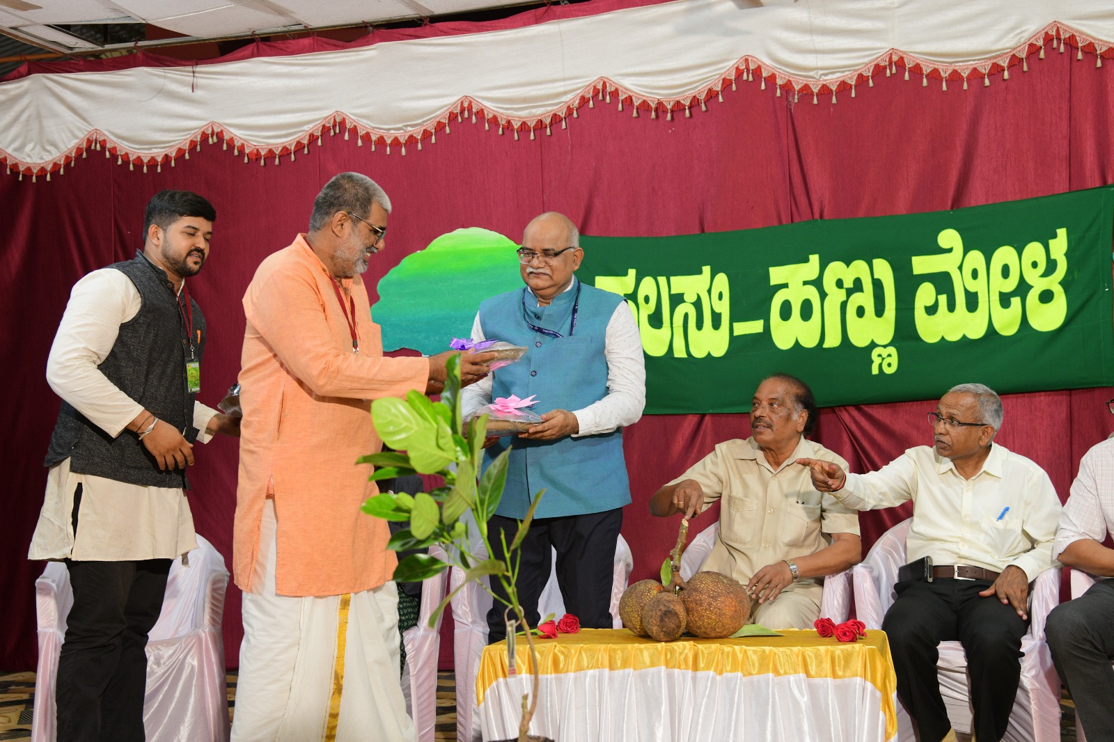 Backyard kitchen gardening intervention for nutritional security and supplementary income launched in Nabarangpur of Odisha under RKVY S&T project