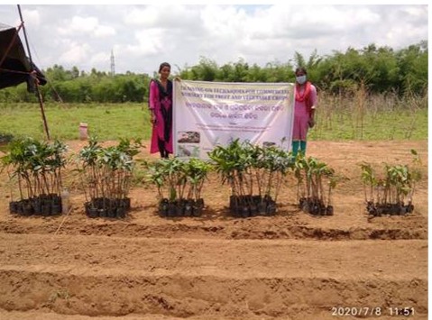 IIHR  Celebrated  “Samvidhan Diwas” on 26/11/2025