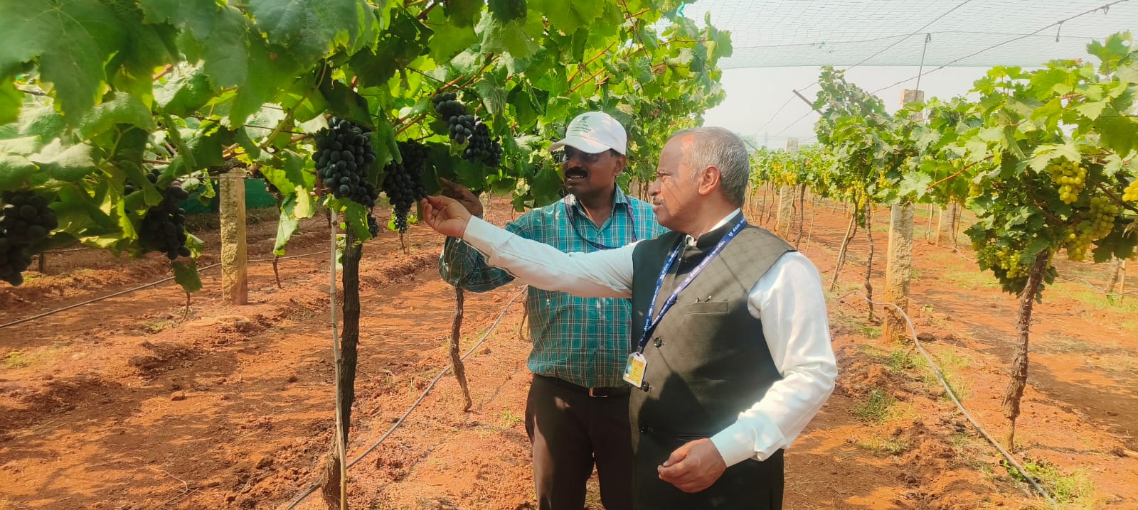 ICAR-IIHR organized Grape Field Day and Farmers Interaction Meet on 26th Feb 2026
