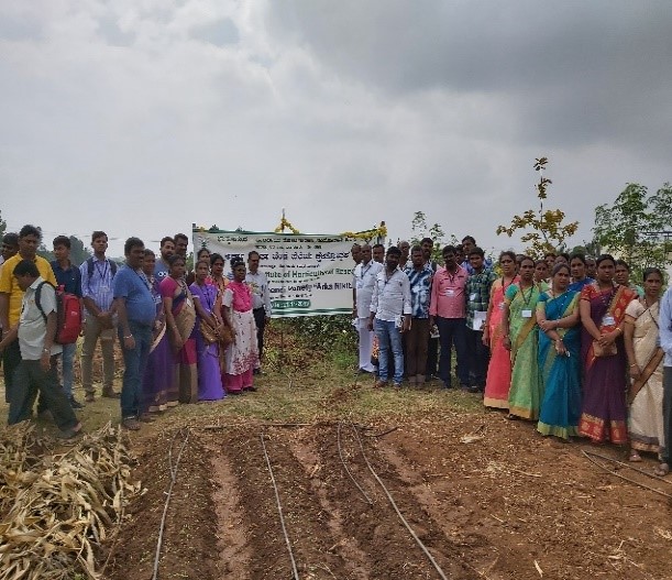 ICAR-IIHR signs MoA with NSC for multiplication and distribution of quality seeds of Horticultural crops to the Farmers