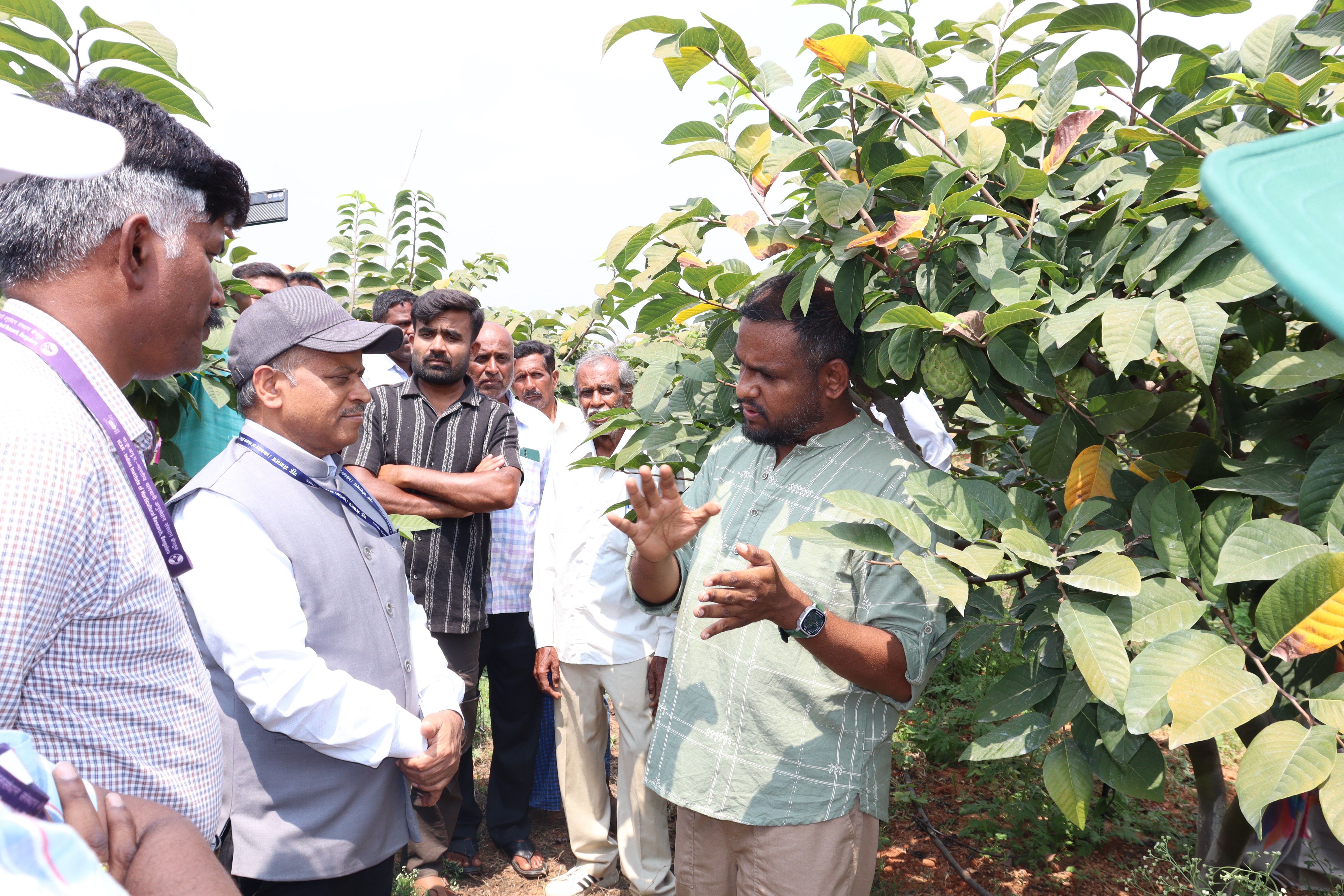 ICAR-IIHR Bengaluru Hosts Successful Field Day on Arka Sahan: Showcasing the Future of Annona Cultivation