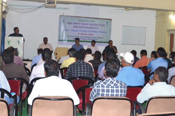 DST-ANRF funded Internship Program  On the Theme  Development of Diagnostics for Viral Diseases of Horticultural Crops (From 01.10.2025 to 31.10.2025)