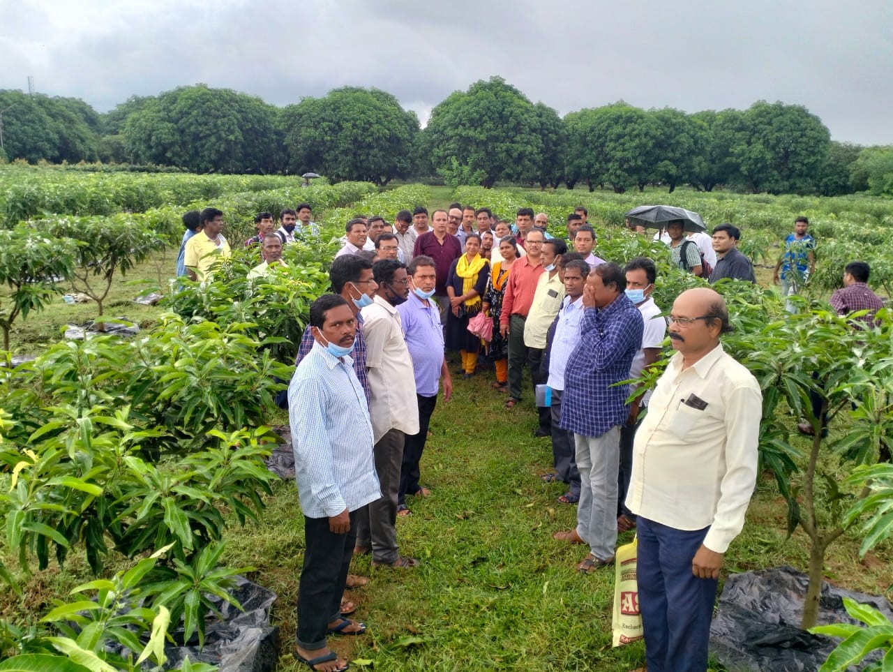 ICAR-IIHR organized “International Webinar Series on Technology Backstopping for Agri-Extension: Indian Experiences” in collaboration with MANAGE on 31.08.2021 