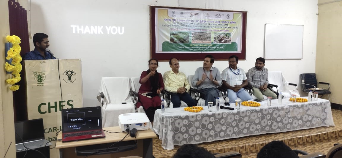 Brainstorming on Underutilized Wild Fruits and Vegetable Crops for Economic and Nutritional Security: Policy Perspectives