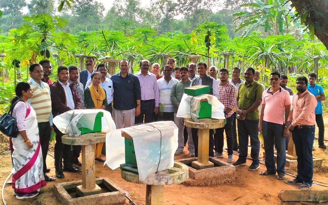 CHES(ICAR-IIHR), Bhubaneswar organized Training cum Awareness programme on  vegetable Seed production on commercial scale