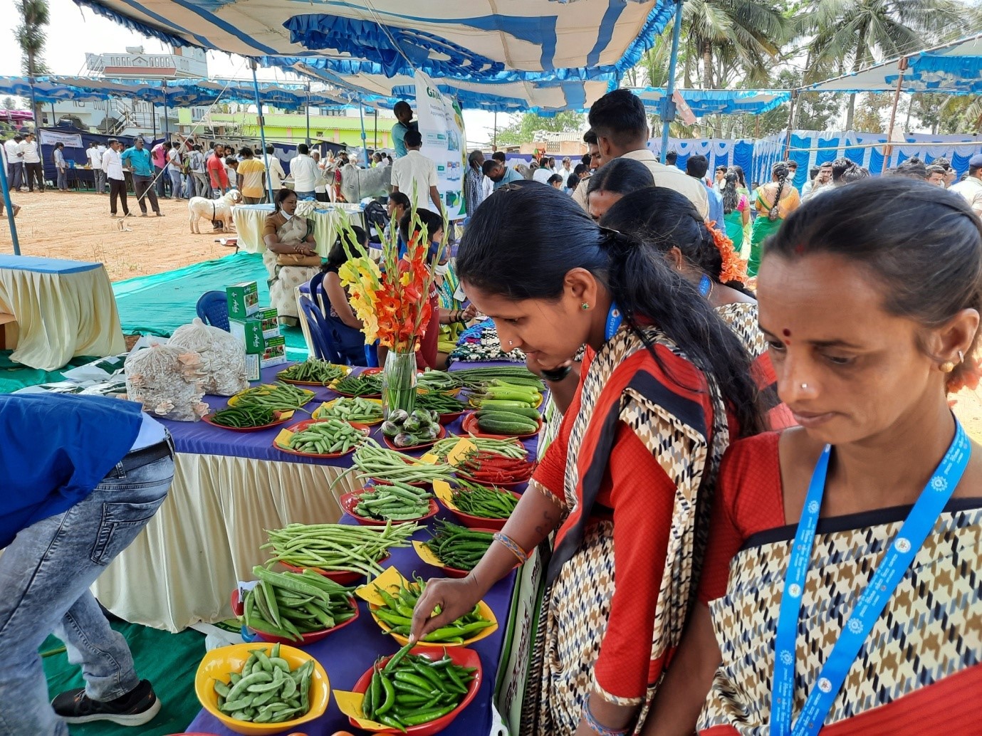 Central Horticultural Experiment Station (ICAR-IIHR) Bhubaneswar organized Special Swachhta Campaign (02nd-31st October, 2021)