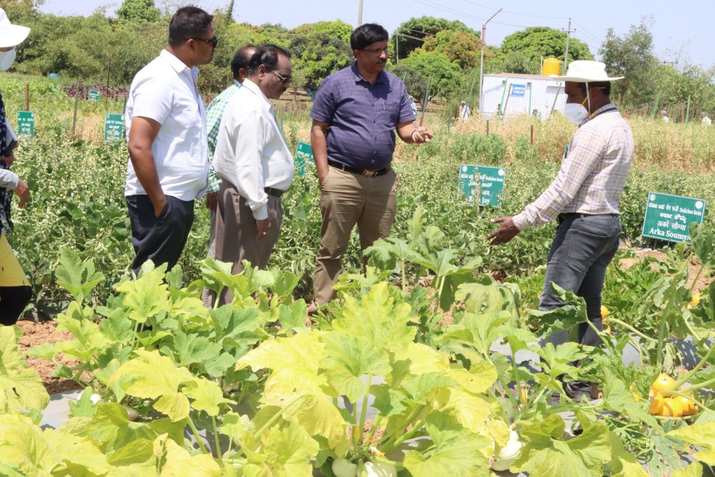 ICAR-IIHR organized field day cum off-campus training programme on Rose Onion
