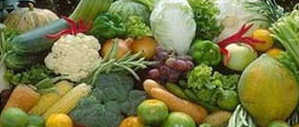 Training & Input Distribution Program Held at ICAR-IIHR,  CHES-IIHR-Bhubaneswar under SCSP