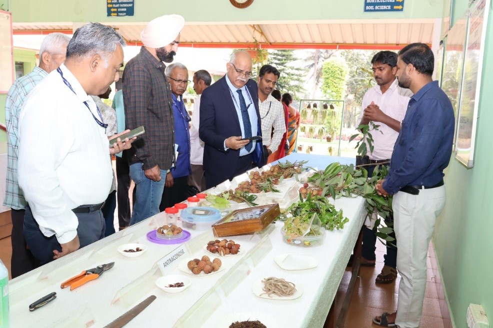 Bhendi and Tomato Field Day was Organized at Bidar