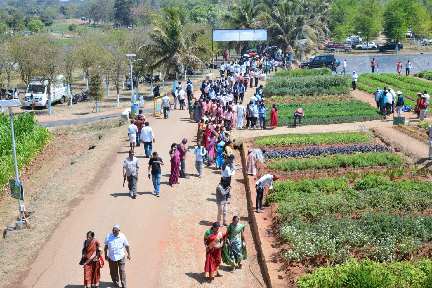 Central Horticultural Experiment Station (ICAR-Indian Institute of Horticultural Research), Bhubaneswar celebrated Kisan Diwas