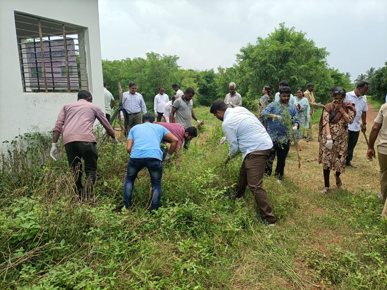 Skill Demonstration on Canopy Management in Mango Orchards was Organized