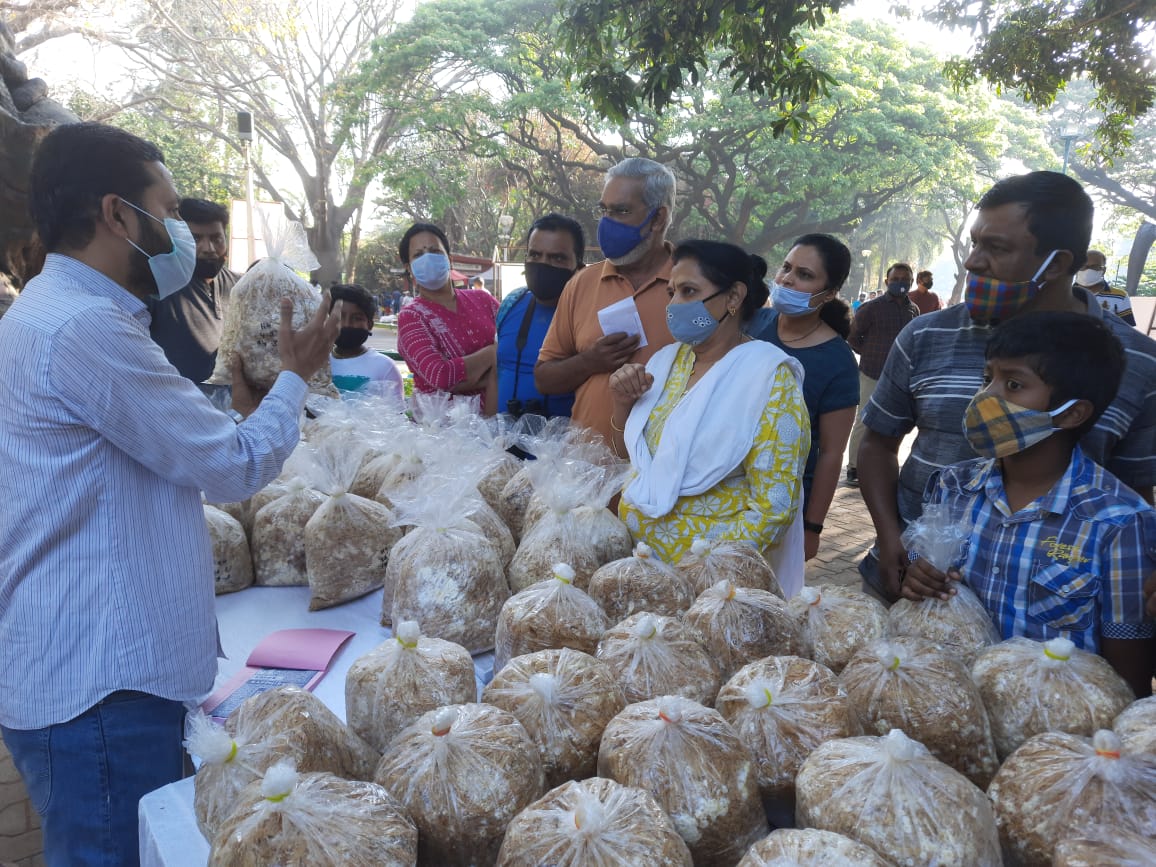 MUSHROOM OPEN DAY-MUSHROOMS-THE TREASURE TROVE OF NUTRITION