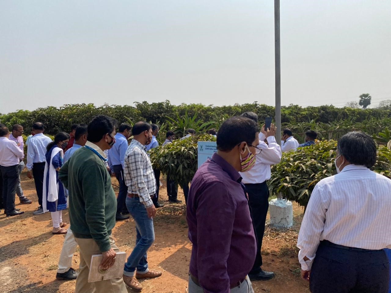 NABARD Officials visited Central Horticultural Experiment Station (CHES),  ICAR-IIHR, Bhubaneswar