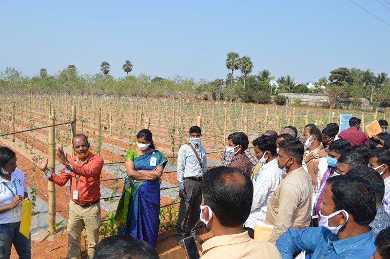 Central Horticultural Experiment Station,Bhubaneswar (ICAR-IIHR) organized Farmer's training, and exposure visits during NHF, 2021 