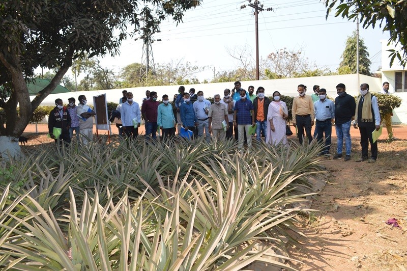 Central Horticultural Experiment Station,Bhubaneswar (ICAR-IIHR) organized Farmer's training, and exposure visits during NHF, 2021 
