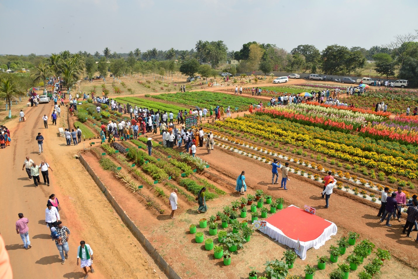 Second day (06.2.2010) of National Horticulture Fair 2020