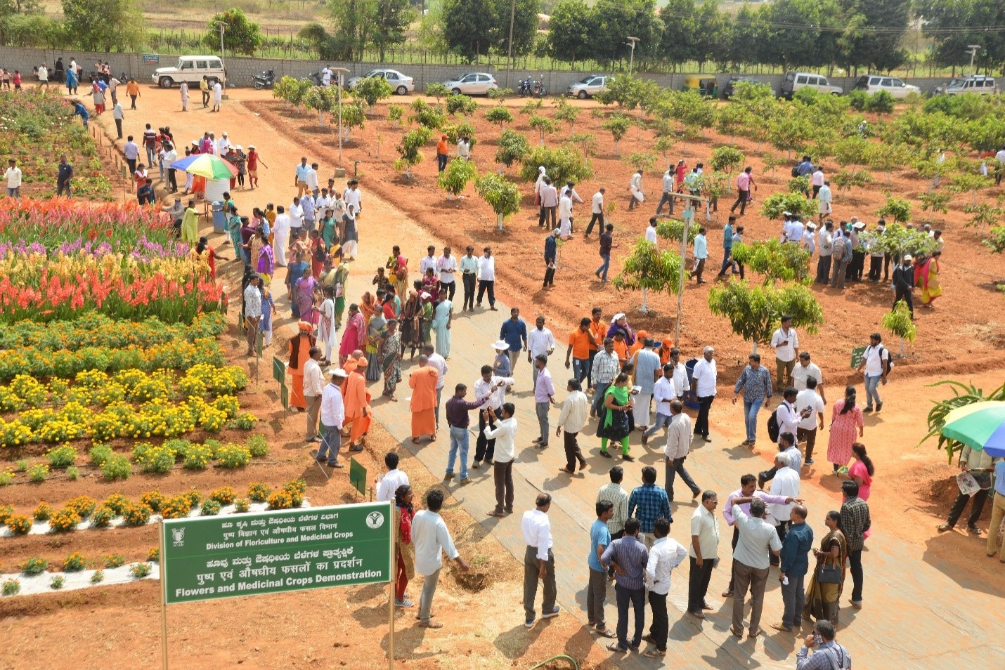 Second day (06.2.2010) of National Horticulture Fair 2020