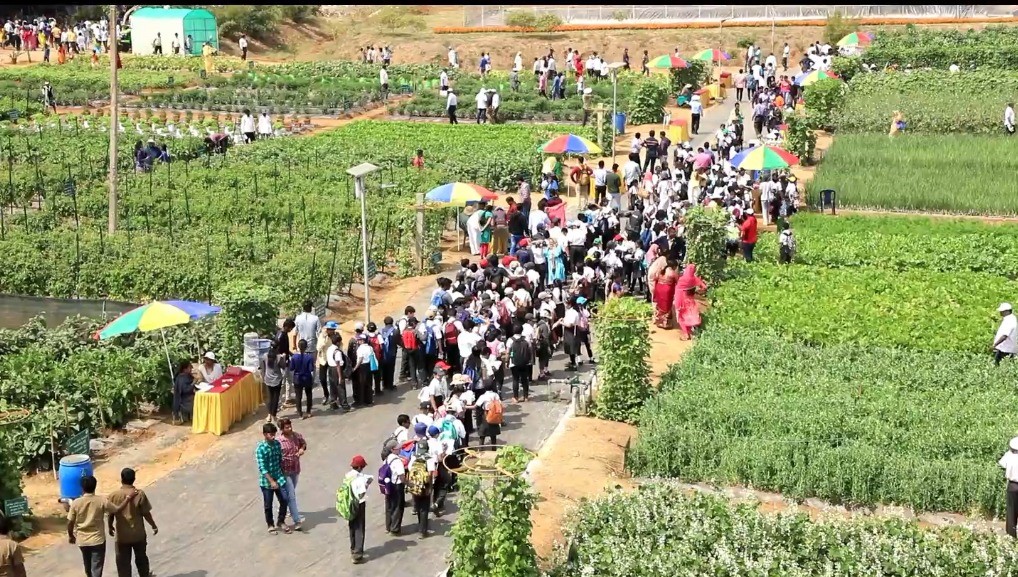 Second day (06.2.2010) of National Horticulture Fair 2020
