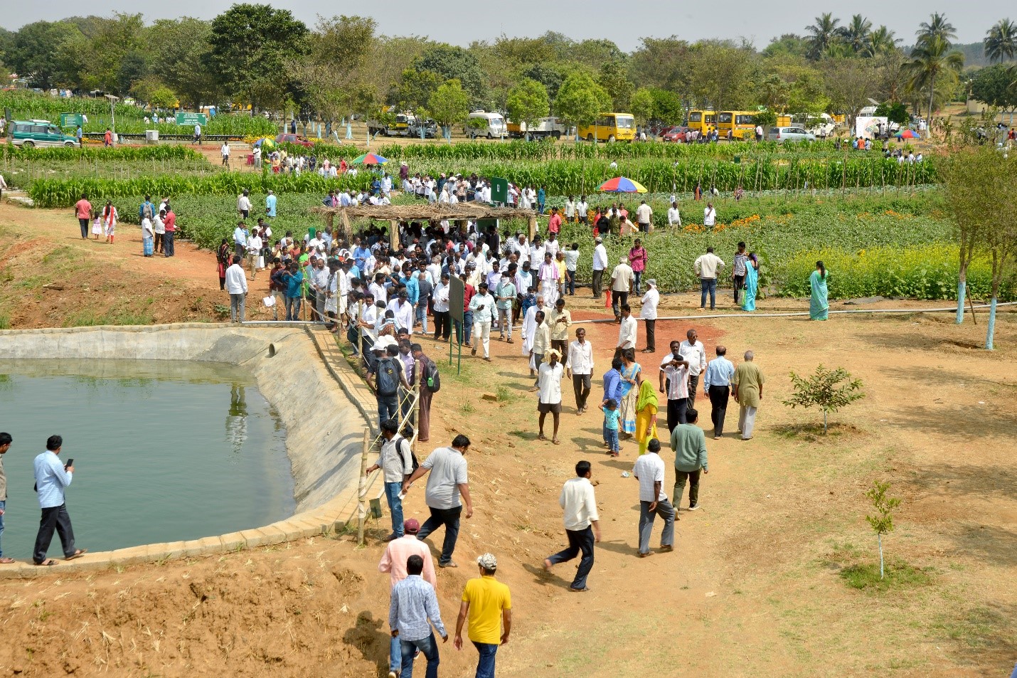 Second day (06.2.2010) of National Horticulture Fair 2020