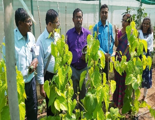 Special training programmes exposure visits organized during National Horticulture Fair 2020