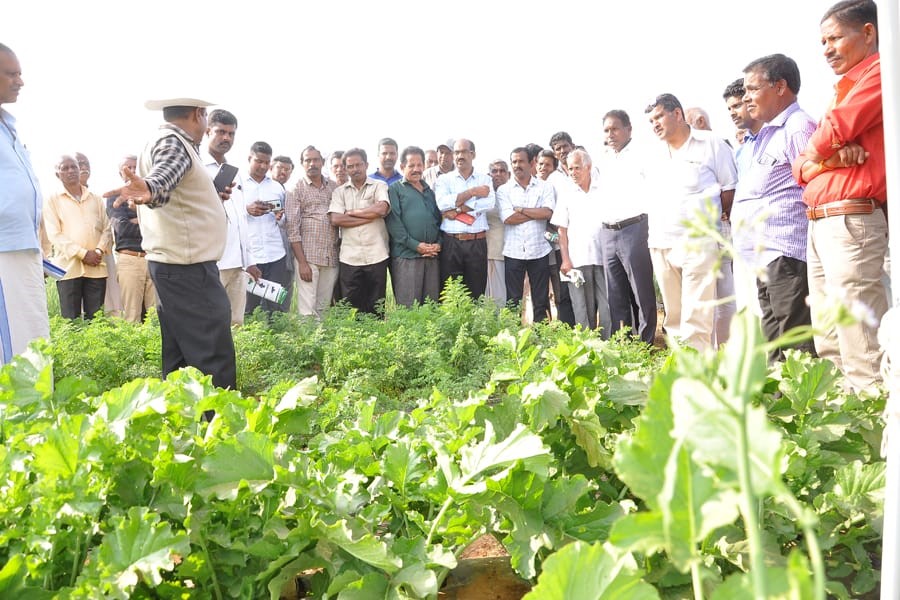 Special training programmes exposure visits organized during National Horticulture Fair 2020