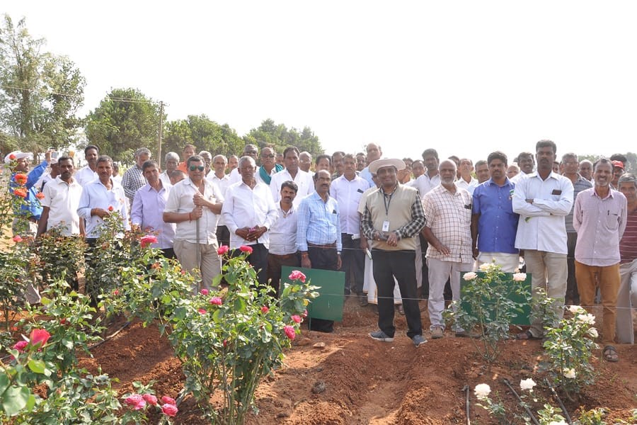 Special training programmes exposure visits organized during National Horticulture Fair 2020