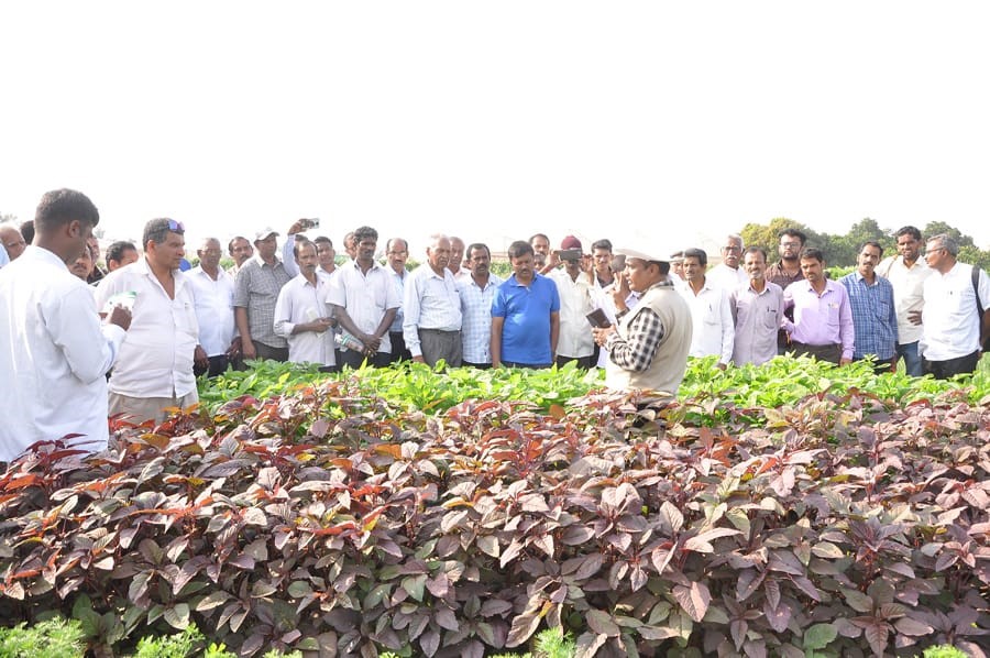 Special training programmes exposure visits organized during National Horticulture Fair 2020