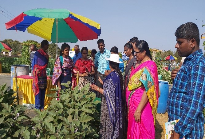 Special training programmes exposure visits organized during National Horticulture Fair 2020