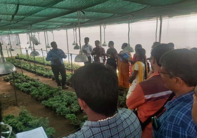 Special training programmes exposure visits organized during National Horticulture Fair 2020