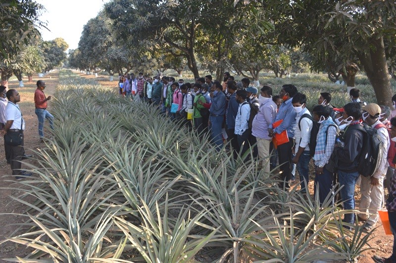 Training on commercial horticulture and field exposure visits organized for farmers during NHF 2021 at CHES (ICAR-IIHR), Bhubaneswar 