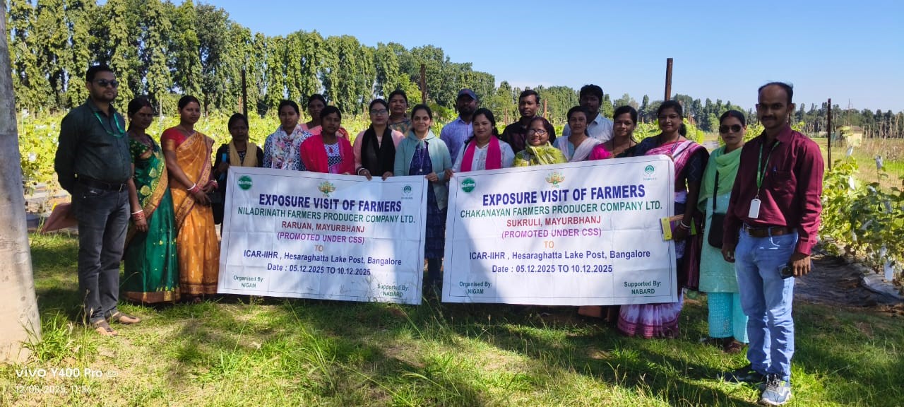 ICAR-IIHR organizes Training Programme on “Improved Horticulture Technologies” for Farmers from NIGAM NGO, Odisha 