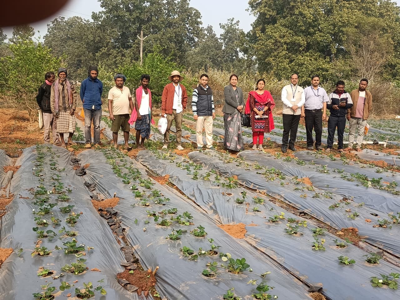 ICAR-IIHR-CHES, Bhubaneswar organised Input Distribution and Skill Development Program under Tribal Sub-Plan in Mayurbhanj district of Odisha