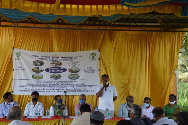 Field day on “Arka Onion detopper” at Bachikoppalu village, Nagamangala (Tk.), Mandya (Dt.), Karnataka on 02.01.2021