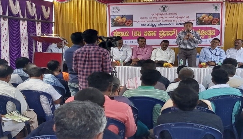 Papaya Field Day was Organized at Chintamani Taluk on 8th January, 2020