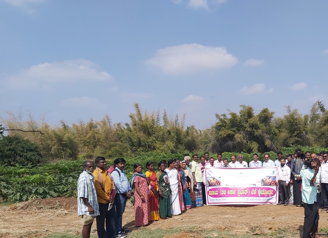 Papaya Field Day was Organized at Chintamani Taluk on 8th January, 2020
