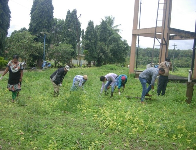Parthenium Awareness Week Observed at CHES (ICAR-IIHR), Chettalli 