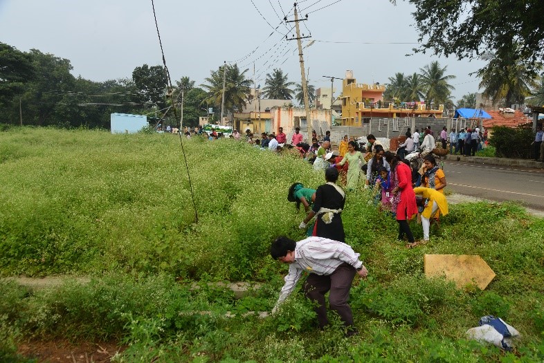 Organization of Parthenium Eradication Programme (I-PEP) 